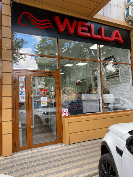 ������ ����� - ������ ������� �WELLA�.